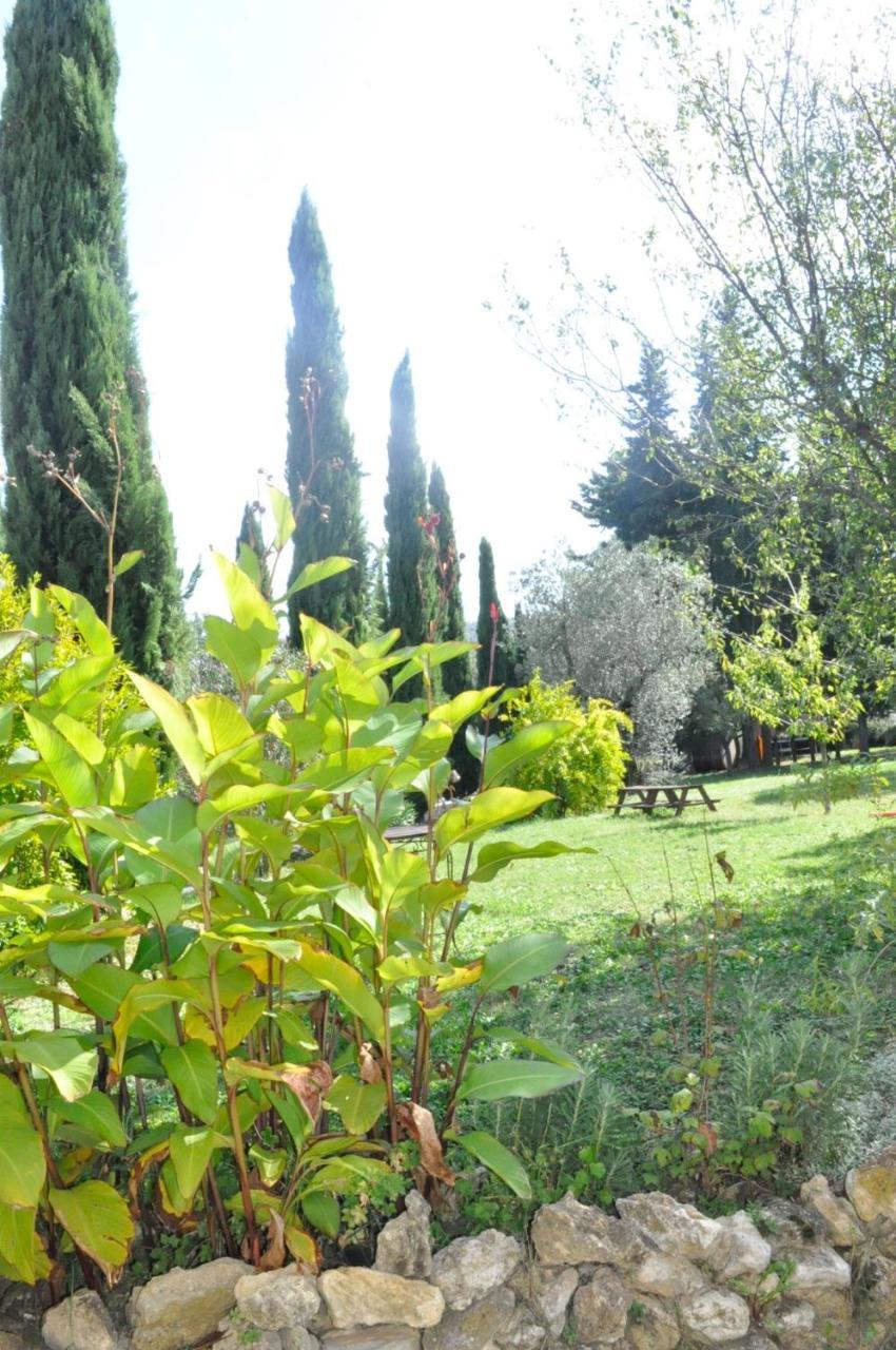 Agriturismo Soiano Famiglia Rolfini Montaione Exterior foto
